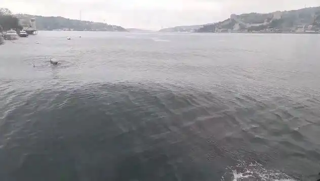 İstanbul Boğazı'nda Dalgalar Yükseliyor: Nedenleri ve Sonuçları