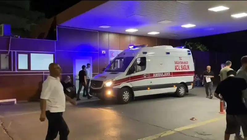Bayram Gösterişi Arasında Kayıp: Dilan’ın Trajik Sonu ve Gerçekler