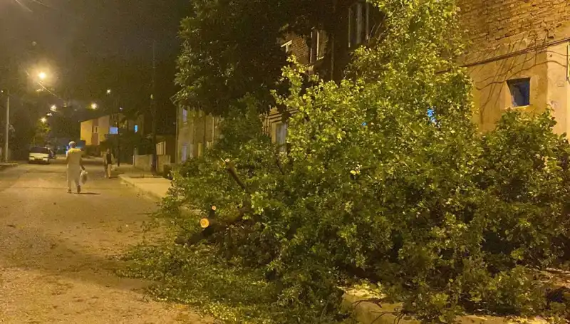 Karabük'te Fırtına: Doğa Olayının Yarattığı Etkiler ve Sonuçları