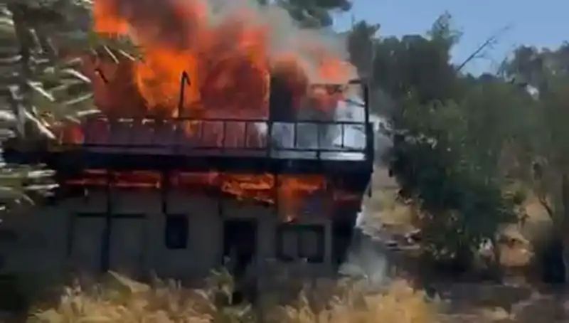 Bodrum'da Yangın Alarmı: Hızla Yayılan Alevler Ekipleri Seferber Etti