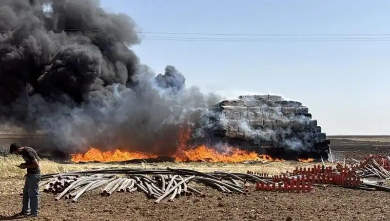 Mardin'de Korkutan Anız Yangını! Yangının Sebepleri ve Sonuçları Neler?