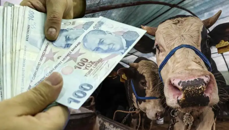 Kurban Bayramı Öncesi Maaşlar Yatacak mı? İşte Merak Edilenler!