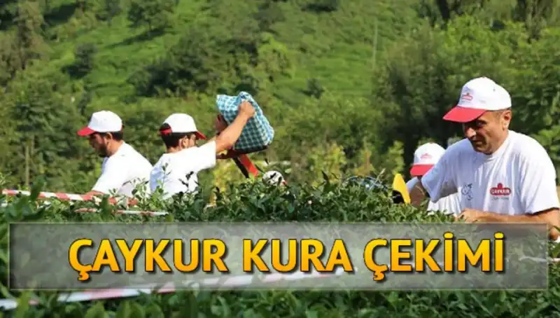 Çaykur Canlı Kura Sayfası: Çekiliş Sonuçlarını Öğrenmenin En Hızlı Yolu