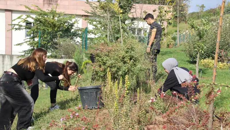 Düzce’nin Hayali Gerçek Oldu: Küresel Başarı İçin İlk Adım