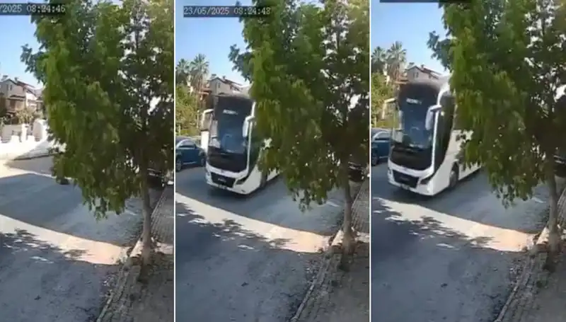 Yolda Yatan Köpeğe Dikkat Etmeyen Sürücü Şoke Etti!