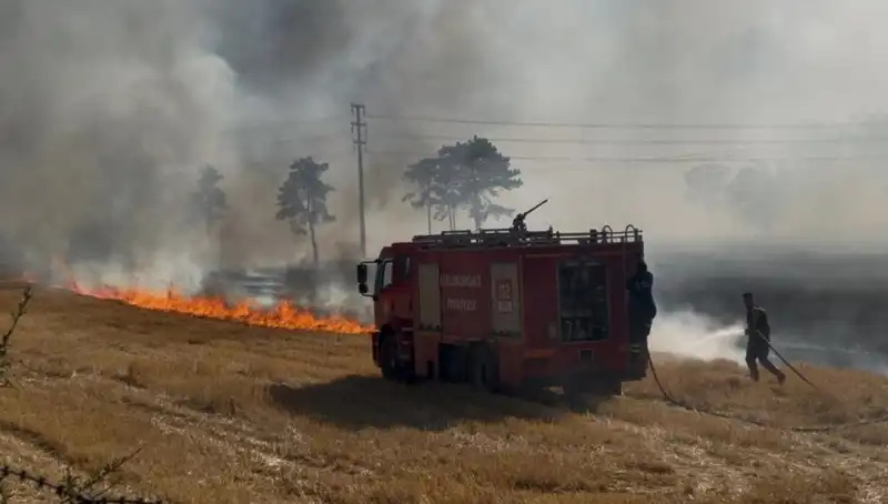 Kırklareli'nde Korkutan Anız Yangını: Doğaya Zarar, Tarıma Tehdit!