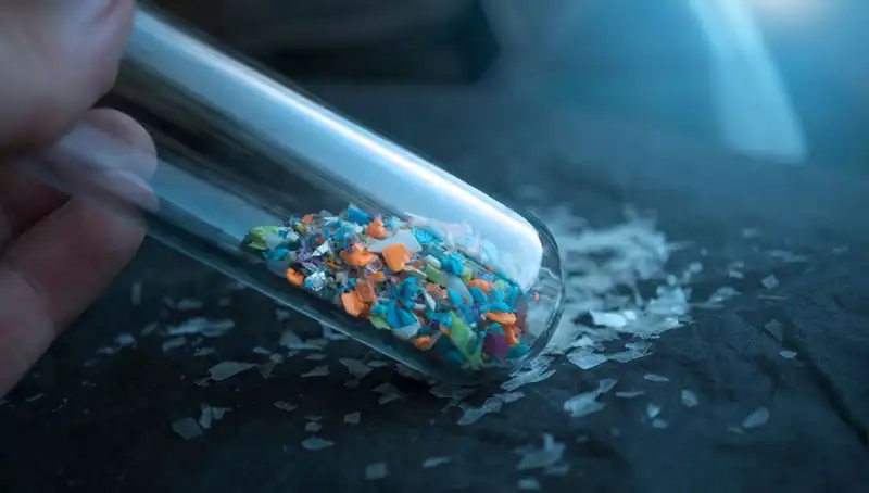 Mikroplastik Kirliliği: İnsan Beyninde Yıkıcı Etkiler ve Çözüm Önerileri