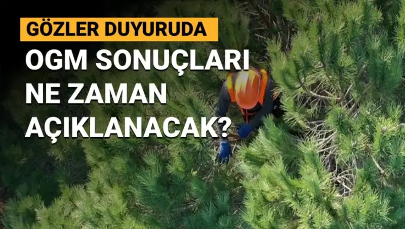 OGM Personel Alımı: 3 Bin 477 Sözleşmeli Başvuru Sonuçları Açıklanıyor!
