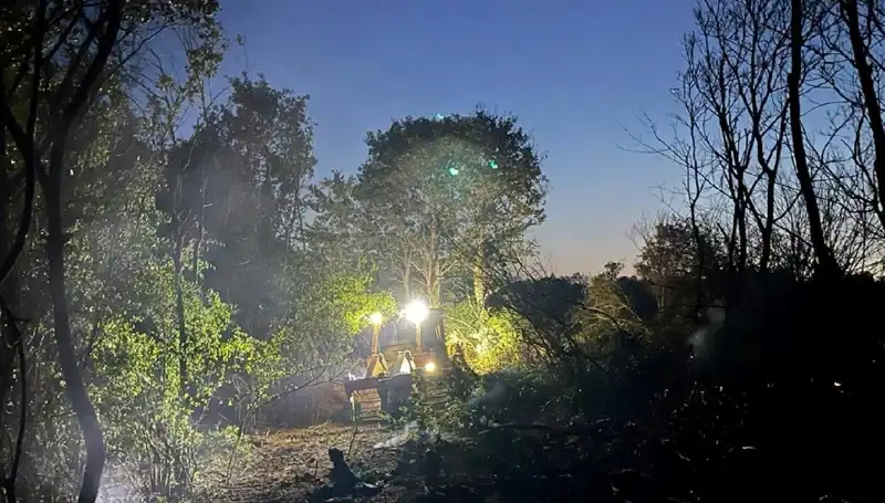 Edirne'deki Orman Yangını Kontrol Altına Alındı: Canlar Kurtarıldı, Doğa Yeniden Canlanacak