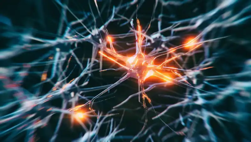 Alzheimer Vakalarındaki Şok Artışın Arkasında Yatan Nedenler
