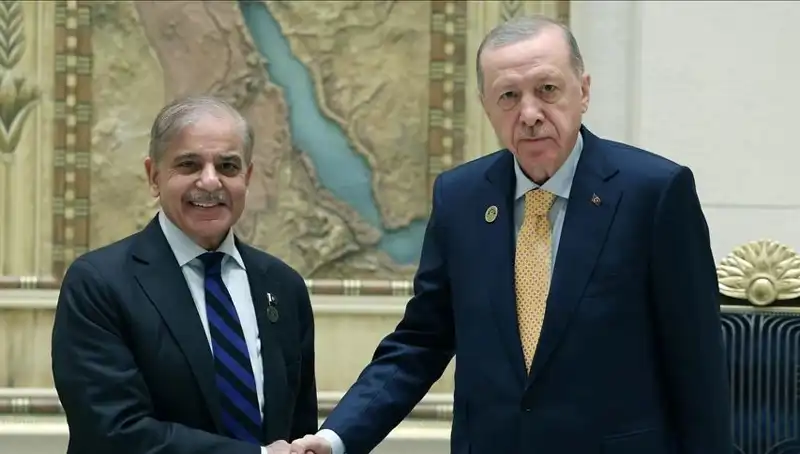Cumhurbaşkanı Erdoğan ve Pakistan Başbakanı Şerif'in İstanbul Zirvesi Neleri Getirecek?