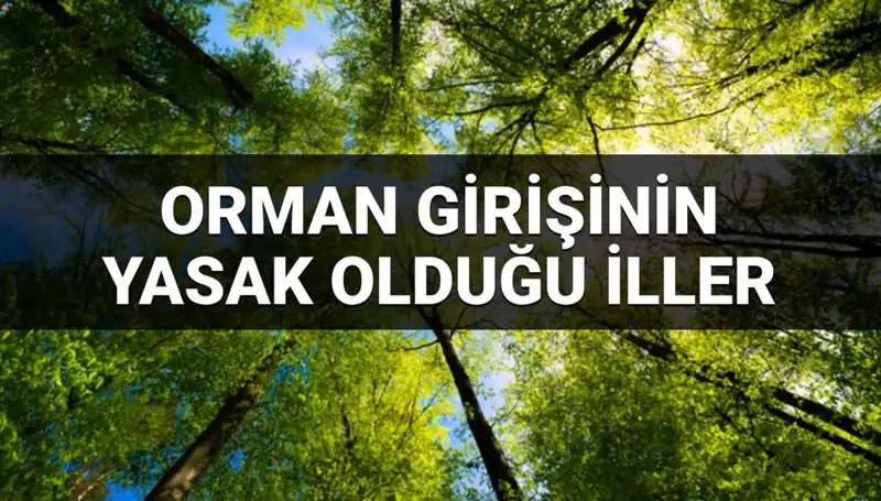 2025’te Ormana Girmesi Yasaklanan İllerde Gizemli Kurallar