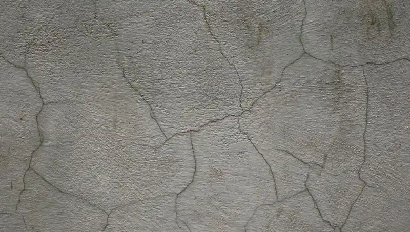 Canlı Beton: Yapılar Neden Kendini Onarıyor?