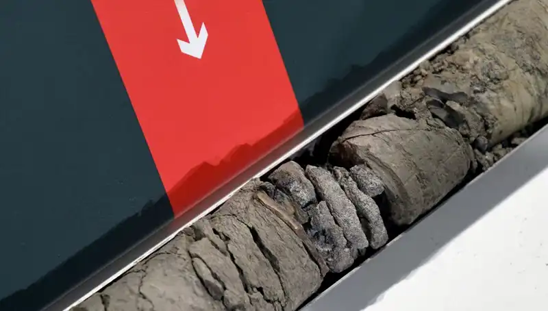Müze Otoparkında Büyük Keşif: Dinozor Fosili Bulundu!
