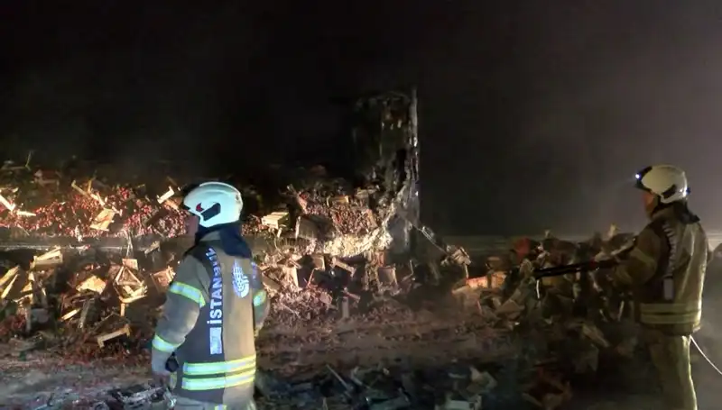 Çilek Taşıyan TIR Yangında Kül Oldu: 6 Ton Meyve Yok Oldu!