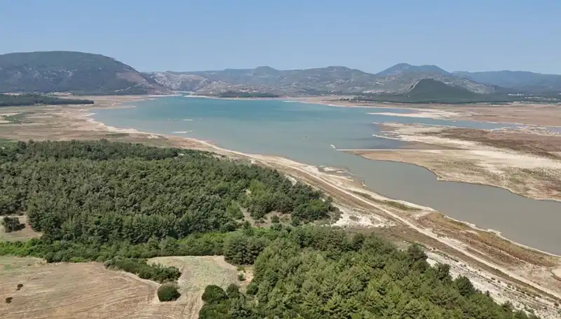 İzmir’de Tehlike Çanları: Geçen Yıla Göre Yüzde 50 Düşüş!
