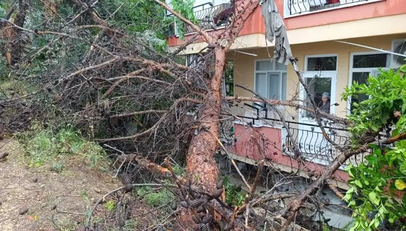 Şiddetli Yağmur, Binaları Sarsarak Devrilmesine Neden Oldu: Detaylar Burada!