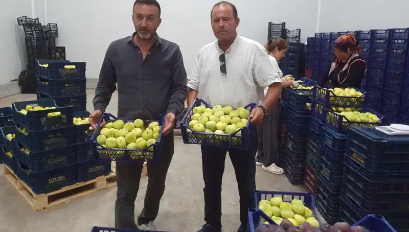 Mersinli Çiftçinin Yüzü Güldü: 20 TL’den İhraç Edilen Ürünler