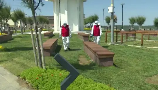 Kene Saldırısı Artışta! Halka Açık Alanlar İçin İlaçlama Seferberliği